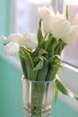 bouquet of white delicate tulips in a vase at sunset
