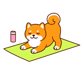 Cute cartoon yoga Shiba Inu dog
