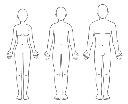 Male, female and unisex body chart
