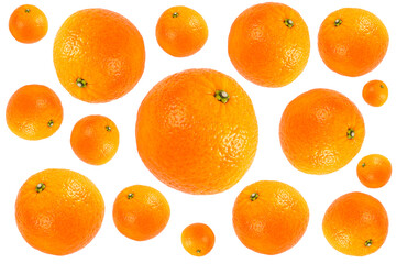 Mandarin isolated on white background. Juicy and fresh mandarine isolated over white with copy space and clipping path