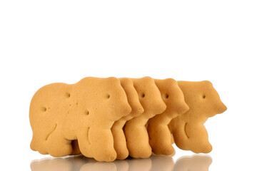 Several zoological cookies, macro, isolated on a white background.