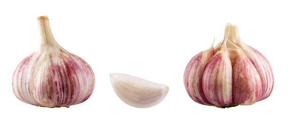Garlics isolated on white background