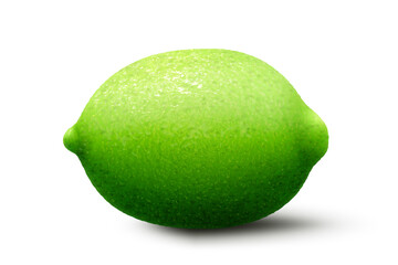Ripe juicy green lime. 3d Realistic fruit vector illustration isolated on white background.