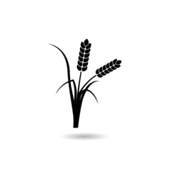Grain wheat logo design with shadow