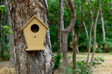 Small wooden birdhouse is hanging on the tree in a park. For now it's empty, but right now birds are on the way for the next food session.