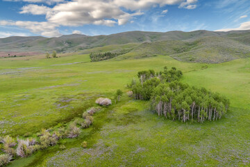 Aerial view of Aspen grove on an Idaho ranch