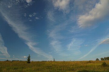 Fototapeta na wymiar Landscape field and sky. Rural nature in summer.
