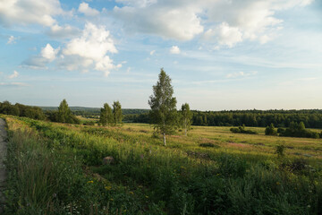 Landscape field and sky. Rural nature in summer.