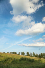 Obraz premium Landscape field and sky. Rural nature in summer.