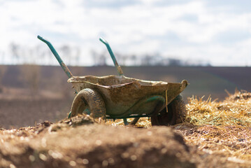 Wheelbarrow with manure in a field
