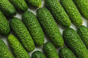 Fresh green cucombers as a background