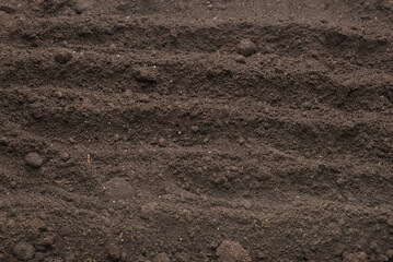 Black land for plant background. Top view.