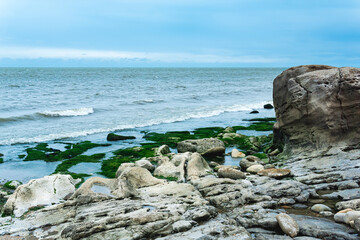coast of the Caspian Sea with coastal rocks and stones covered with algae