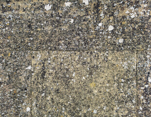 background, texture - a wall of even rough stone blocks, covered with lichen from old age