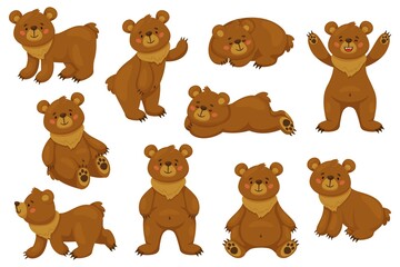 Cartoon brown bear. Funny animal in different poses, sitting lying and standing. Happy forest character, cute big comic grizzly collection, danger wild mammal, recent vector isolated set
