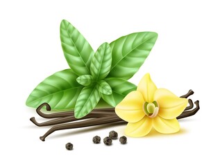 Fototapeta na wymiar Realistic spices simple composition. Vanilla flower and pods, fresh green leaves, basil or mint, black peppercorns. Isolated baking, cooking ingredients, 3d decorative element. Vector concept