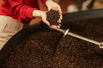 Woman's hands holding coffee beans next to a coffee roasting machine.