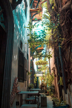 Retro cafe on the narrow street.Cafe table aside. Plants spread on the wall. Nobody in the scene. Ipoh, Malaysia