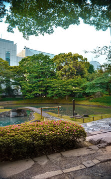 Nature japanese garden. Pond crosses by stone bridge and surrounded by big trees