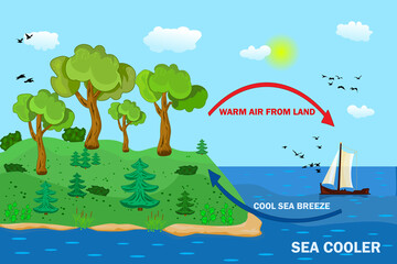 Science poster design for sea and land breeze. Shore wind scheme. Air movement with thermal warm and cold air circulation diagram. Local weather cause. Formation of atmosphere in certain area. Vector