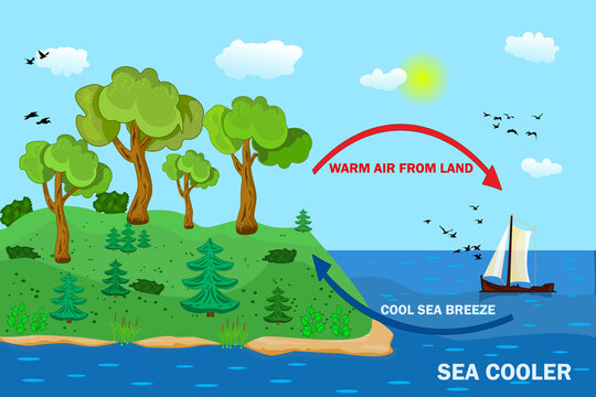 Science poster design for sea and land breeze. Shore wind scheme. Air movement with thermal warm and cold air circulation diagram. Local weather cause. Formation of atmosphere in certain area. Vector