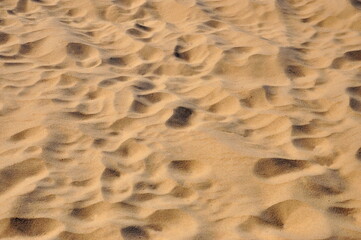 Sand on the beach for background. Close-up.