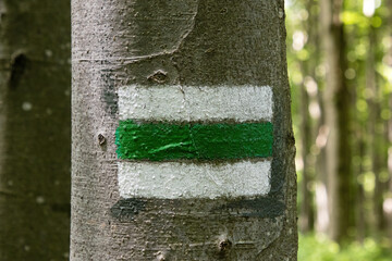 The green trail. Marking the tourist trail. The sign is painted on trees, posts, rocks. Tourist trail for foot, bicycle and mountain