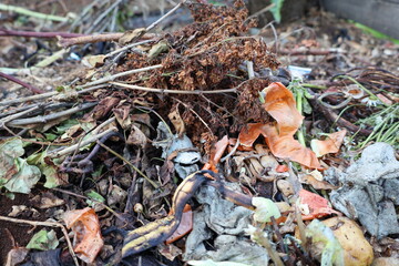 garbage, landfill, spoiled food, rotten food