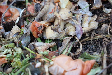 garbage, landfill, spoiled food, rotten food