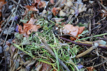 garbage, landfill, spoiled food, rotten food