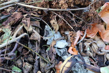 garbage, landfill, spoiled food, rotten foodм