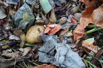 garbage, landfill, spoiled food, rotten food