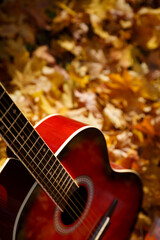 Top view of a guitar fretboard with autumn leaves in the background