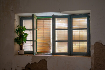 window with plant in abandoned room