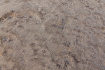 sand texture washed by the sea