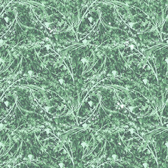 Watercolor seamless pattern with branches. juniper on a branch. Abstract background.Wild grass, wild flower.Immortelle,poppy. Snow covered grass. Wild plant, grass.branch with rose hips. vintage  