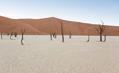 View of deadvlei at early morning