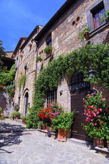 Fototapeta na wymiar glimpse of civita di Bagnoregio Viterbo Italy
