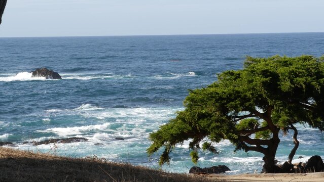 Rocky craggy ocean coast and cypress grove, blue water waves and coniferous pine tree forest, scenic 17-mile drive, Monterey nature near Point Lobos, Big Sur and Pebble beach, California USA. Seascape