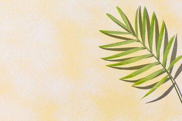 Tropical palm leaves at pastel background, summer background.