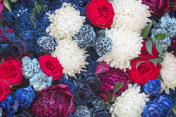 Flowers mix.Colorful flower background with red, white and blue.