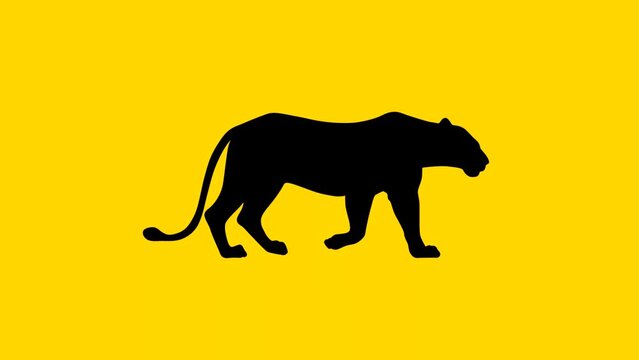 Walking lion, animation on the yellow background (seamless loop)