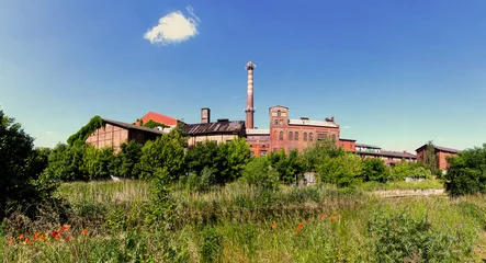 Foto op Plexiglas Old abandoned factory on the outskirts of London © konoplizkaya