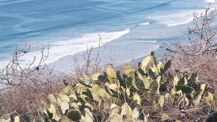 Steep cliff, rock or bluff, California coast erosion, USA. Torrey Pines coastline viewpoint, ocean...