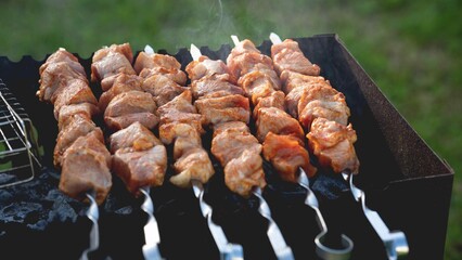 Several juicy meat kebabs cooked on the grill in the barbecue, greens and smoke in the background