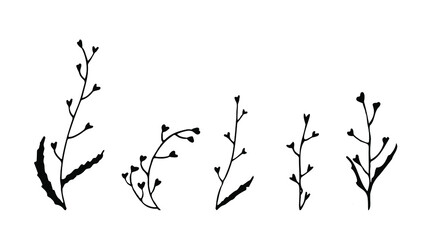 Set of herb with heart shapes flowers. Doodle style. Isolated vector