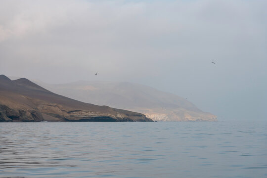 paracas in peru