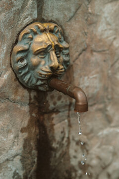 Lion head tap with fresh spring water from a natural source. Deficit, crisis, shortage of drinking water is a problem in Ukraine. Conceptual photo. Water consumption and reservation concept