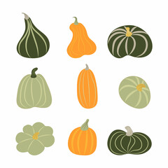 Pumpkin of various shapes and colors. Thanksgiving and Halloween Elements.
