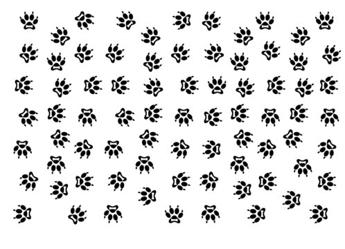 Paw Seamless Pattern SVG, Dog Paw Background, SVG Dog Paw Footprint svg, Seamless pattern, dog lover svg, paw svg, paw png, paw print svg
